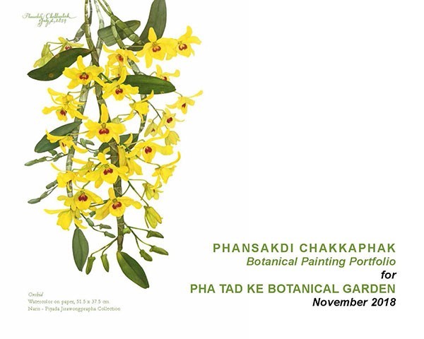 Phansakdi Chakkaphak – Botanical Drawings